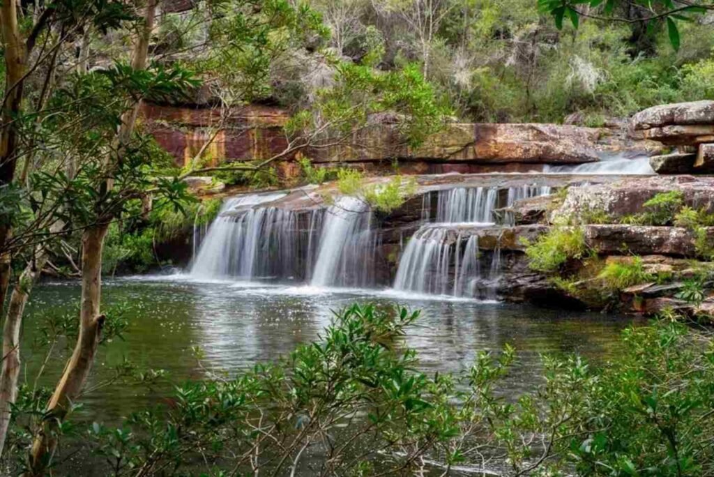 13Cabs Royal National Park NSW