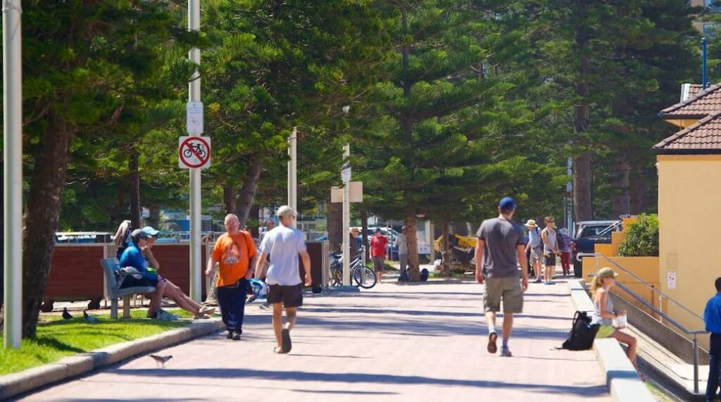 Taxi Manly Beach